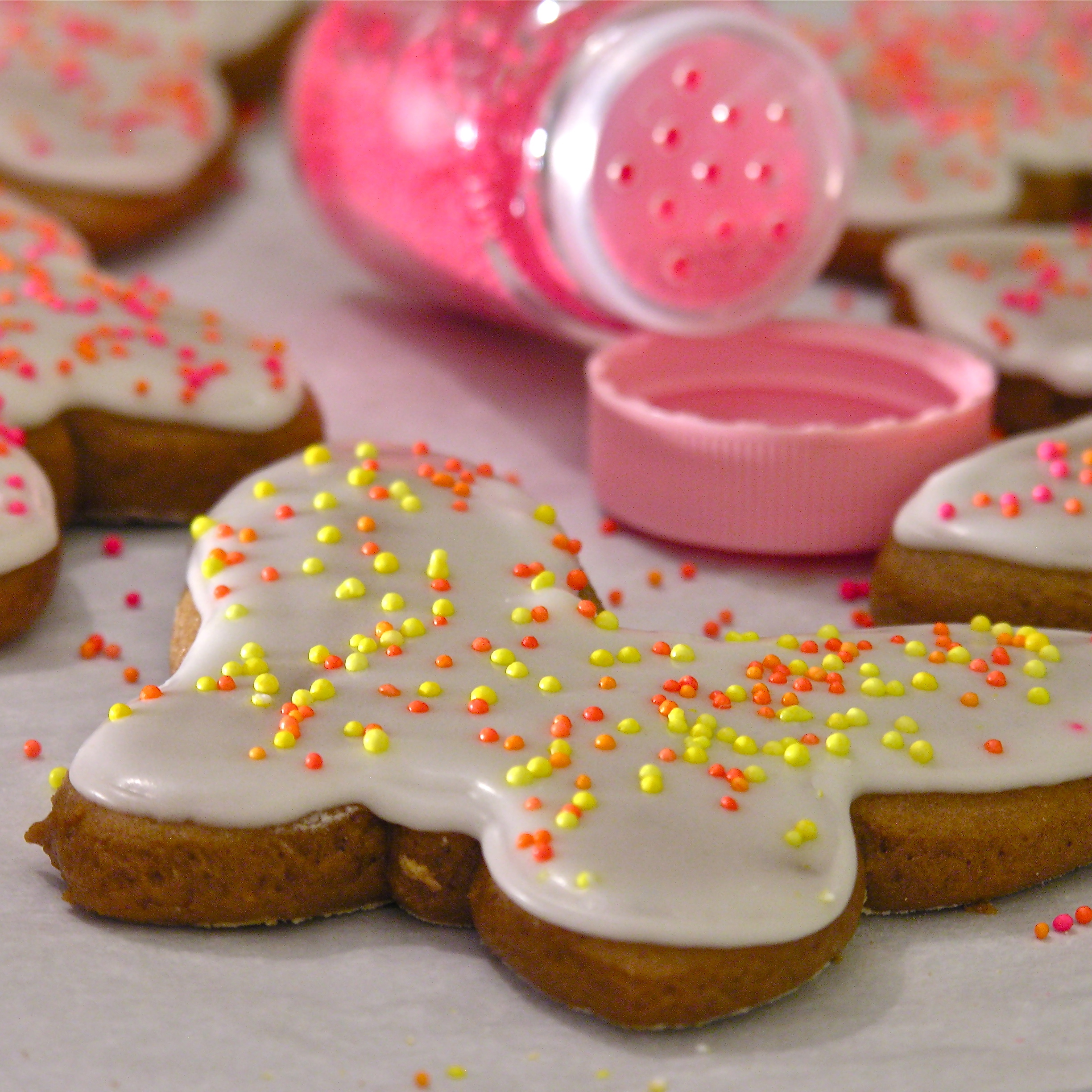 Gingerbread Cookies!