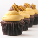 Fall acorn cupcakes!