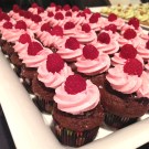 Chocolate Raspberry Mini Cupcakes