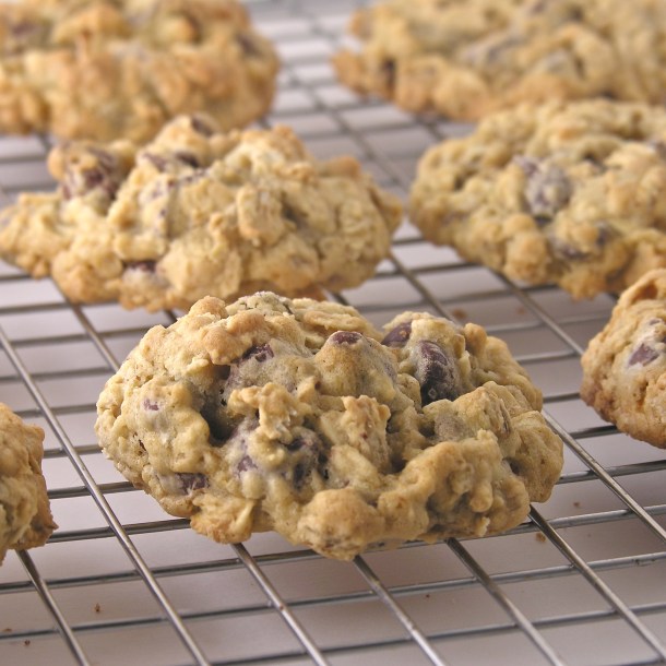 chocolate chip oatmeal cookies