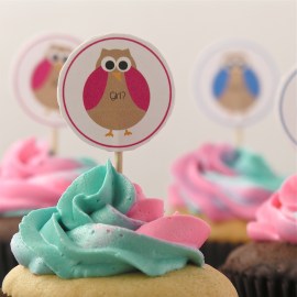 Gender reveal cupcakes- two tone frosting