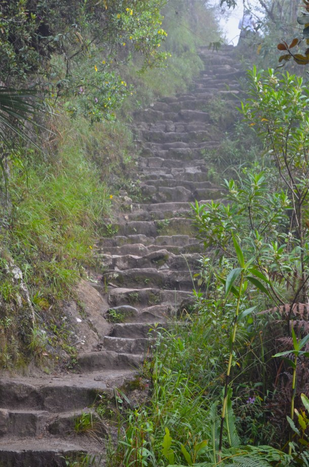Stairs up Wayana Picchu