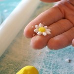 Press yellow center into daisy