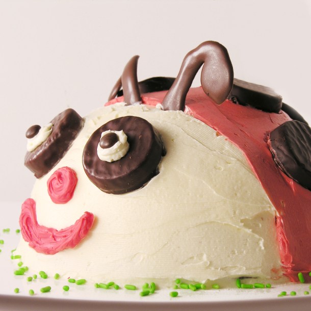 Ladybug Cake!!