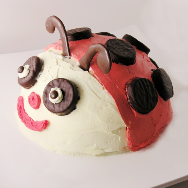 Ladybug cake!!!!!