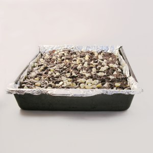 Oreo Caramel Brownies