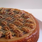 Turtle Cheesecake Square