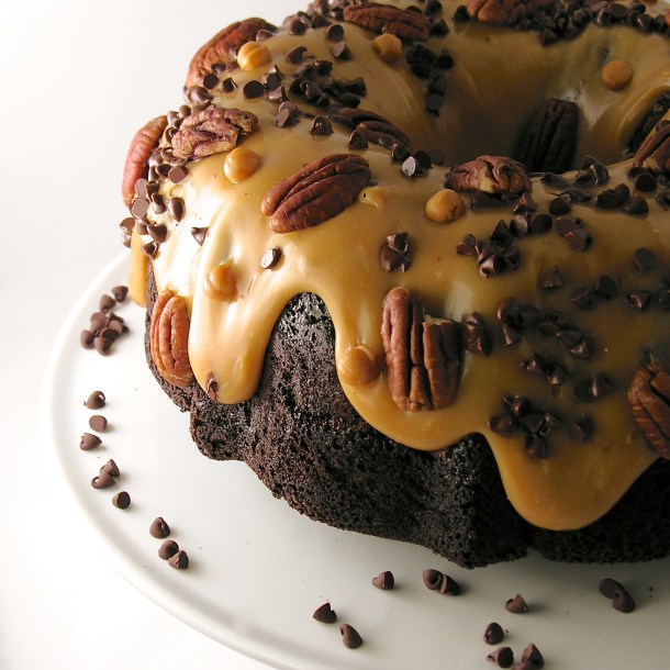 Turtle Bundt