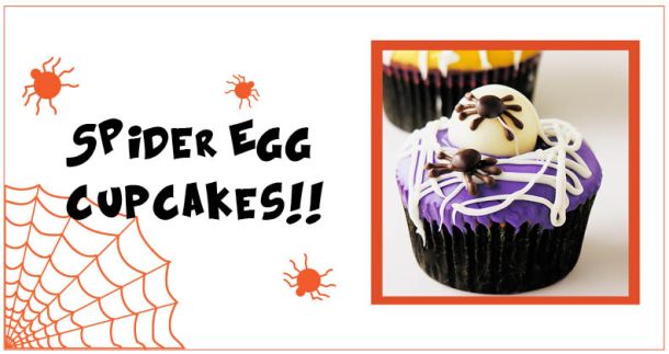 spider egg cupcakes