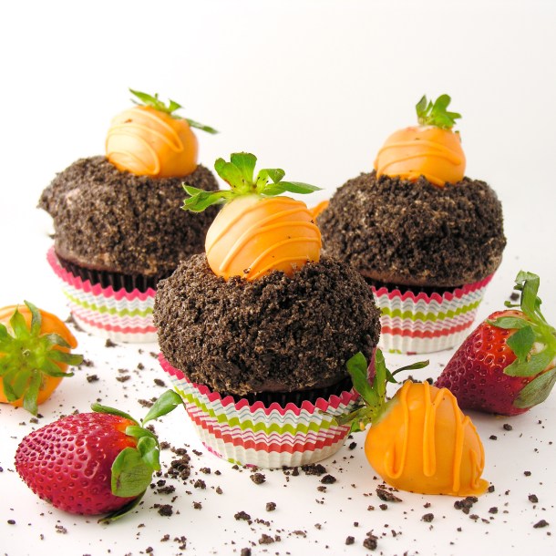 carrot-patch-cupcakes2