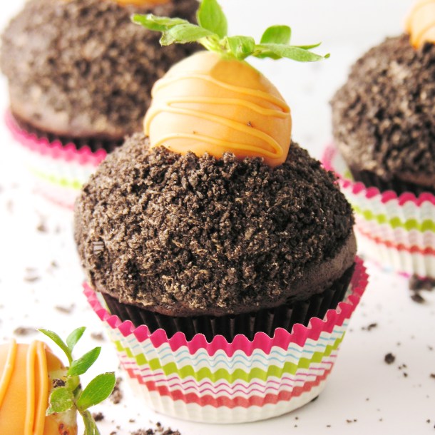carrot-patch-cupcakes