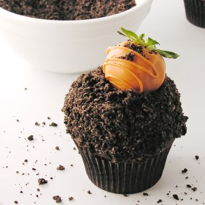 carrot-patch-cupcakes5