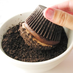 carrot-patch-cupcakes